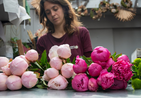 fête de la pivoine aux fermes de gally à saint-cyr-l'école