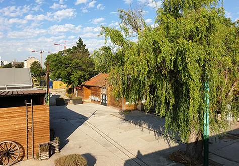 Ferme urbaine de Saint Denis