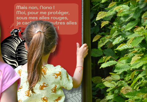 Labyrinthe de Nono l'escargot