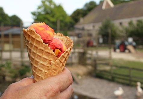 glace à la ferme ouverte pause gourmande