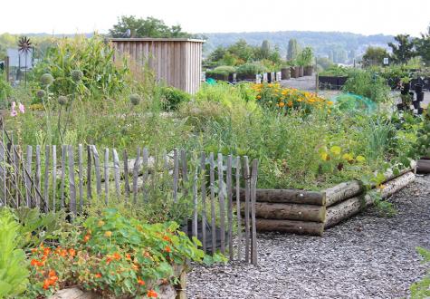 Les jardins potagers de Gally