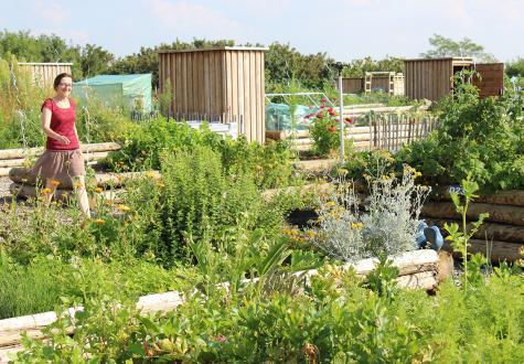 Les potagers de Gally