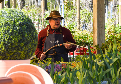 Jardinier du magasin de Gally à Saint-Cyr