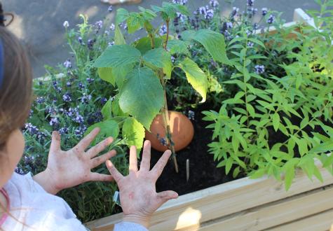 Atelier jardinage pour enfant à la Ferme urbaine de Saint Denis