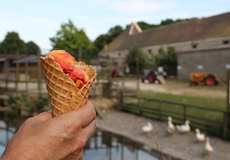 Glace de la Fraiseraie à la Ferme de Gally