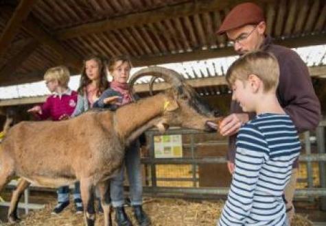 Recontre avec les animaux